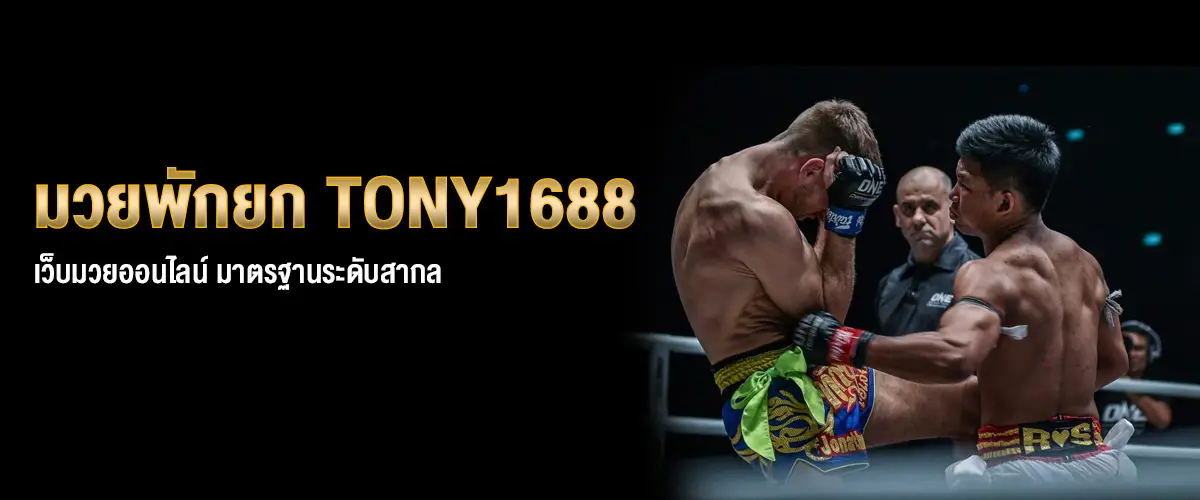 มวยพักยกtony