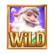 สัญลักษณ์ พิเศษ wild