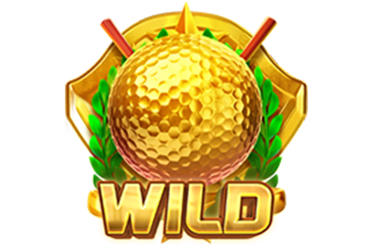 สัญลักษณ์พิเศษ Wild