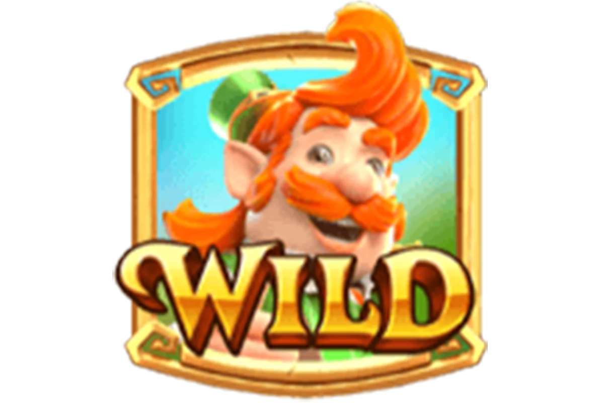 สัญลักษณ์ พิเศษ wild