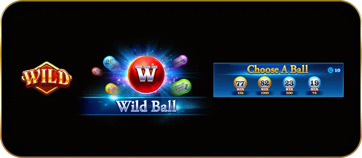 คุณสมบัติ WILD BALL