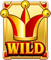 Wild Symbol