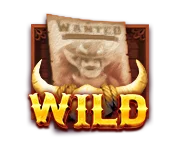 สัญลักษณ์ Wild