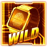 สัญลักษณ์พิเศษ Wild