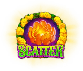 Scatter