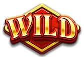 สัญลักษณ์ wild