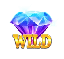 สัญลักษณ์ WILD